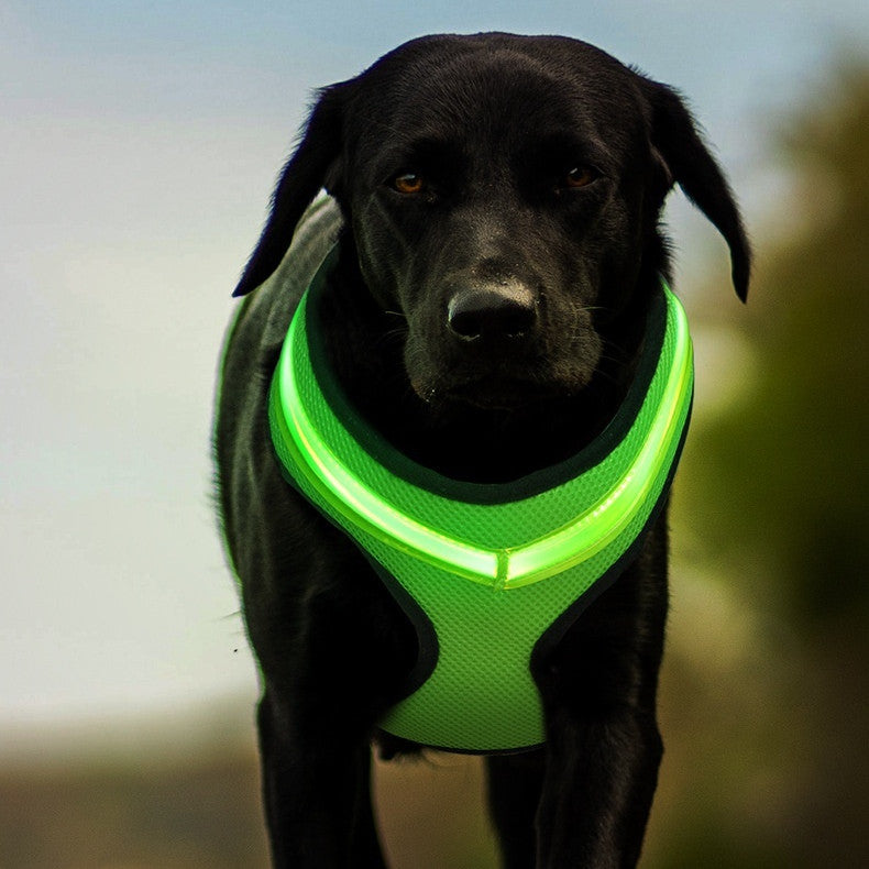 LED Luminous Dog Harness LED USB Charging Dog Chest Strap Vest Pet Safety Reflective Harness Pet Vest For Puppy Large Dog Pet Products
